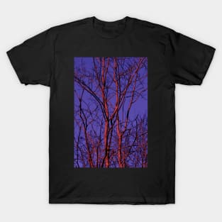 Neon Trees - Purple T-Shirt